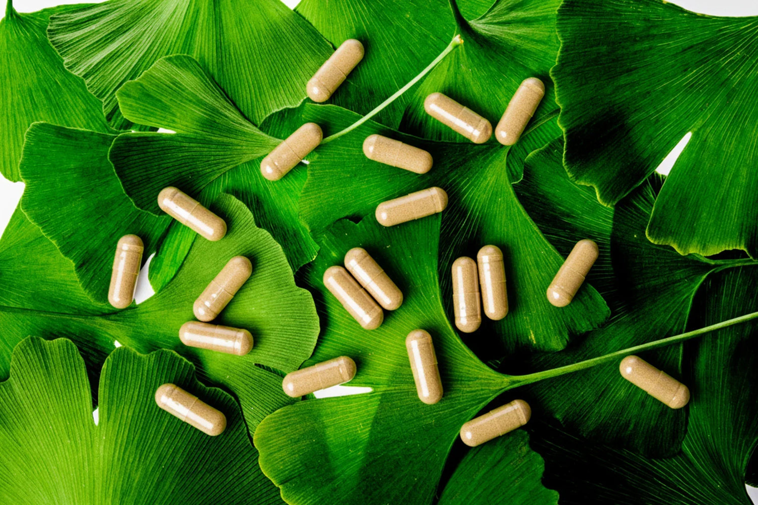 Green Ginkgo Biloba leaves with supplement capsules, symbolizing natural support for mental clarity and circulation.